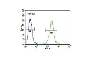 SPINK5 Antibody (N-term) (ABIN390855 and ABIN2841077) flow cytometric analysis of  cells (right histogram) compared to a negative control cell (left histogram). (SPINK5 antibody  (N-Term))