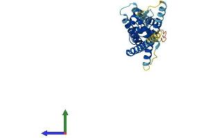 AlphaFold protein structure predicition of Human Recombinant ARV1 Protein, UniprotID Q9H2C2 (ARV1 Protein (AA 1-271) (His tag))