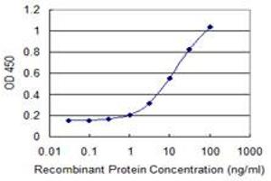 Detection limit for recombinant GST tagged PPHLN1 is 0. (PPHLN1 antibody  (AA 168-258))