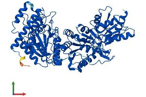 Protein Structure (PS) image for Transketolase-Like 2 (TKTL2) (AA 1-626) protein (His tag) (ABIN7544473)
