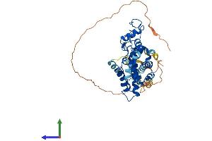 AlphaFold protein structure predicition of Human Recombinant NR2F1 Protein, UniprotID P10589