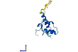 AlphaFold protein structure predicition of Human Recombinant POLD4 Protein, UniprotID Q9HCU8