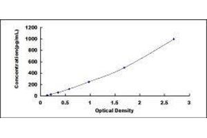 Chemokine (C-C Motif) Ligand 7 (CCL7) ELISA Kit