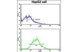 Flow cytometric analysis of HepG2 cells using AD Antibody (N-term) (bottom histogram) compared to a negative control cell (top histogram). (ADAM9 antibody  (N-Term))