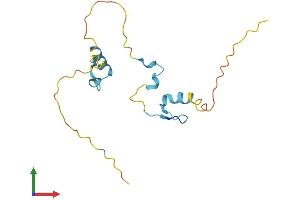 AlphaFold protein structure predicition of Mouse Recombinant Atxn7l1 Protein, UniprotID Q9CZ05 (ATXN7L1 Protein (AA 1-146) (His tag))