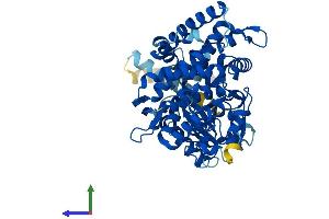 AlphaFold protein structure predicition of Mouse Recombinant Cyp51a1 Protein, UniprotID Q8K0C4