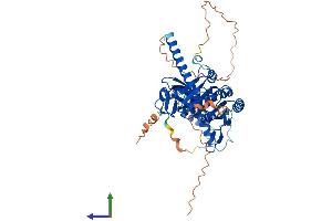 AlphaFold protein structure predicition of Mouse Recombinant Trmt6 Protein, UniprotID Q8CE96 (TRMT6 Protein (AA 1-497) (His tag))
