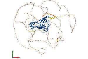Protein Structure (PS) image for Eomesodermin (EOMES) (AA 1-707) protein (His tag) (ABIN7562429)