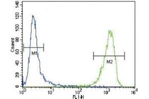 Alpha Actin antibody flow cytometric analysis of CEM cells (green) compared