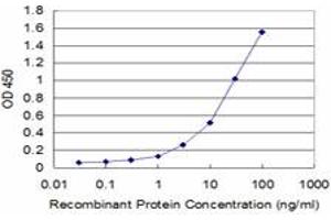 Detection limit for recombinant GST tagged PAEP is approximately 0. (PAEP antibody  (AA 53-162))