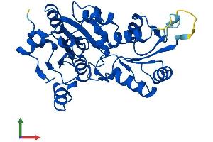 Protein Structure (PS) image for Pyridoxal (Pyridoxine, Vitamin B6) Phosphatase (PDXP) (AA 1-296) protein (His tag) (ABIN7550786)