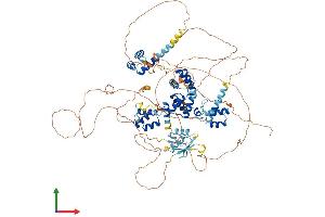 AlphaFold protein structure predicition of Human Recombinant ZHX3 Protein, UniprotID Q9H4I2
