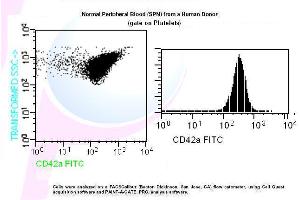 Image no. 1 for anti-Glycoprotein IX (Platelet) (GP9) antibody (FITC) (ABIN1112139) (CD42a antibody  (FITC))