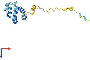 AlphaFold protein structure predicition of Mouse Recombinant Pea15 Protein, UniprotID Q62048 (PEA15 Protein (AA 1-130) (His tag))