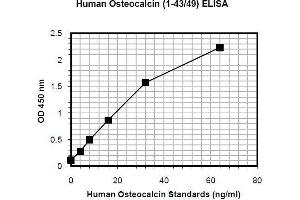 ELISA image for Osteocalcin (BGLAP) ELISA Kit (ABIN1305168) (Osteocalcin ELISA Kit)