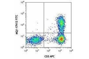 Flow Cytometry (FACS) image for anti-Interleukin 2 (IL2) antibody (FITC) (ABIN2661944) (IL-2 antibody  (FITC))