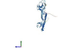 AlphaFold protein structure predicition of Human Recombinant TRIM27 Protein, UniprotID P14373 (TRIM27 Protein (AA 1-513) (His tag))