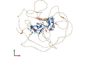 AlphaFold protein structure predicition of Human Recombinant ZMIZ2 Protein, UniprotID Q8NF64 (ZMIZ2 Protein (AA 1-920) (His tag))