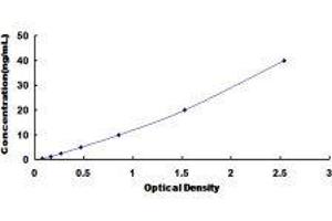 ELISA image for Carboxypeptidase Z (CPZ) ELISA Kit (ABIN420944) (CPZ ELISA Kit)