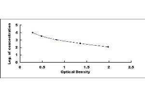 ELISA image for Cross-Linked C-Telopeptides of Type I Collagen (CTX-I) ELISA Kit (ABIN416231)