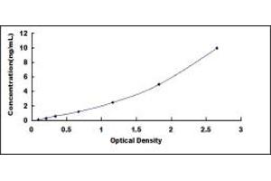 ODC1 ELISA Kit