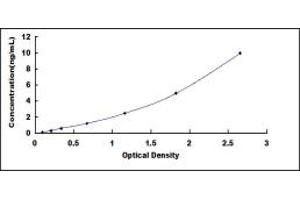 Typical standard curve (ODC1 ELISA Kit)