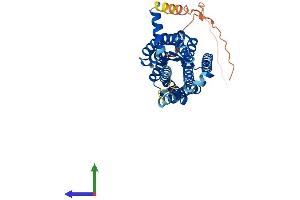 AlphaFold protein structure predicition of Human Recombinant MTNR1B Protein, UniprotID P49286