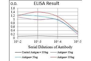 Black line: Control Antigen (100 ng), Purple line: Antigen(10 ng), Blue line: Antigen (50 ng), Red line: Antigen (100 ng), (CD73 antibody  (AA 30-250))