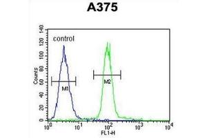 Flow Cytometry (FACS) image for anti-APOBEC1 Complementation Factor (A1CF) antibody (ABIN2995767)