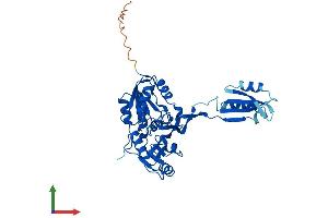 AlphaFold protein structure predicition of Mouse Recombinant Nif3l1 Protein, UniprotID Q9EQ80