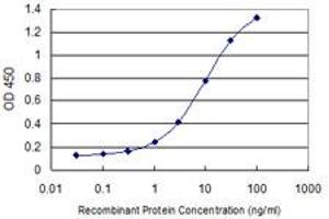 Detection limit for recombinant GST tagged STIP1 is 0. (STIP1 antibody  (AA 1-543))