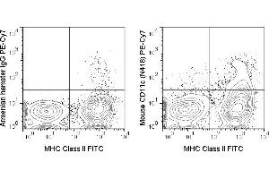 C57Bl/6 splenocytes were stained with FITC Anti-Mouse MHC Class II (ABIN6961605) and 1 μg PE-Cy7 Anti-Mouse CD11c (ABIN6961605) (right panel) or 1 μg PE-Cy7 Armenian Hamster IgG (left panel). (CD11c antibody  (PE-Cy7))