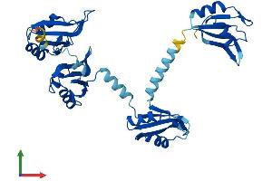 AlphaFold protein structure predicition of Human Recombinant PABPC4L Protein, UniprotID P0CB38 (PABPC4L Protein (AA 1-370) (His tag))