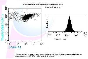 Image no. 1 for anti-Integrin alpha 2 (ITGA2) antibody (PE) (ABIN1112171) (ITGA2 antibody  (PE))