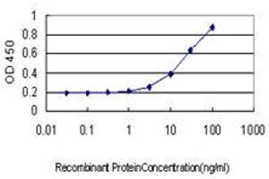 Detection limit for recombinant GST tagged STAU1 is approximately 1ng/ml as a capture antibody. (STAU1/Staufen antibody  (AA 401-496))