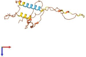 AlphaFold protein structure predicition of Human Recombinant IQCJ Protein, UniprotID Q1A5X6 (IQCJ Protein (AA 1-159) (His tag))