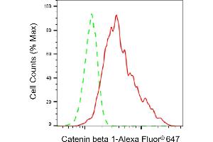 Flow cytometric analysis of Catenin beta 1 expression in C2C12 cells using Catenin beta 1 antibody (ABIN7797925), 1:2,000). (CTNNB1 antibody)