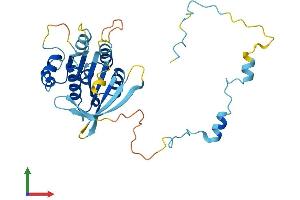 AlphaFold protein structure predicition of Mouse Recombinant Elp5 Protein, UniprotID Q99L85 (Retinoic Acid Induced 12 (RAI12) (AA 1-300) protein (His tag))