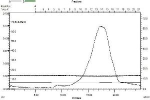 GPD1 (AA 1-349), gel filtation Superose 6, fraction 15 - 17