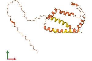 AlphaFold protein structure predicition of Human Recombinant C15orf32 Protein, UniprotID Q32M92