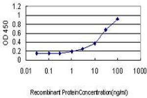 Detection limit for recombinant GST tagged LMO3 is approximately 1ng/ml as a capture antibody. (LMO3 antibody  (AA 91-146))