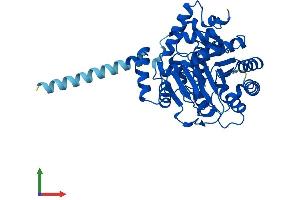 AlphaFold protein structure predicition of Human Recombinant DHODH Protein, UniprotID Q02127