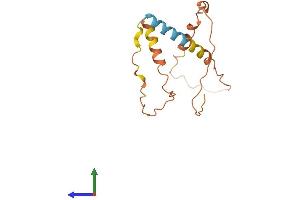 AlphaFold protein structure predicition of Human Recombinant FAM182B Protein, UniprotID Q5T319 (FAM182B Protein (AA 1-152) (His tag))