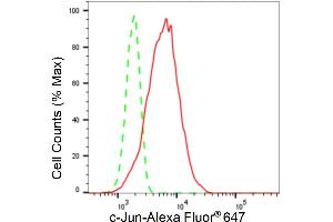 Flow cytometric analysis of c-Jun expression in HT- cells using c-Jun antibody (ABIN7799145), 1:2,000). (Recombinant C-JUN antibody)