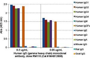 ELISA analysis of Human IgG (gamma heavy chain) monoclonal antibody, clone RM116  at the following concentrations: 0. (Rabbit anti-Human Immunoglobulin Heavy Constant gamma 1 (G1m Marker) (IGHG1) Antibody (Biotin))