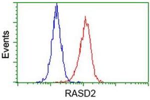 Flow cytometric Analysis of Hela cells, using anti-RASD2 antibody (ABIN2453587), (Red), compared to a nonspecific negative control antibody (TA50011), (Blue). (RASD2 antibody)