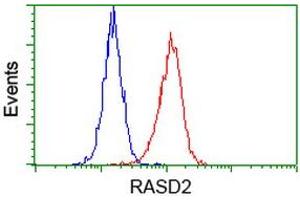Flow cytometric Analysis of Hela cells, using anti-RASD2 antibody (ABIN2453587), (Red), compared to a nonspecific negative control antibody (TA50011), (Blue).