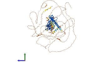 AlphaFold protein structure predicition of Human Recombinant SNCAIP Protein, UniprotID Q9Y6H5