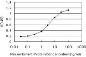 Detection limit for recombinant GST tagged SEMA4B is approximately 0. (SEMA4B antibody  (AA 592-689))
