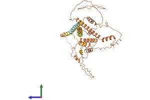 AlphaFold protein structure predicition of Human Recombinant APOL5 Protein, UniprotID Q9BWW9 (Apolipoprotein L 5 Protein (AA 1-433) (His tag))